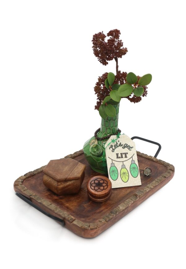 My Bud Vase – Woodland Turtle Set